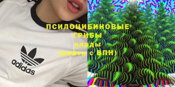 гидропоника Медногорск