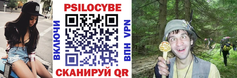 купить наркоту  блэк спрут как войти  Галлюциногенные грибы ЛСД  Ельня 